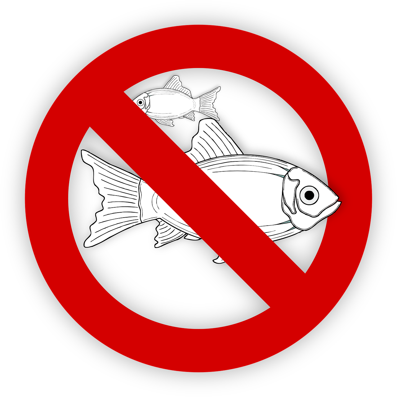 pixabay-995050-459.png